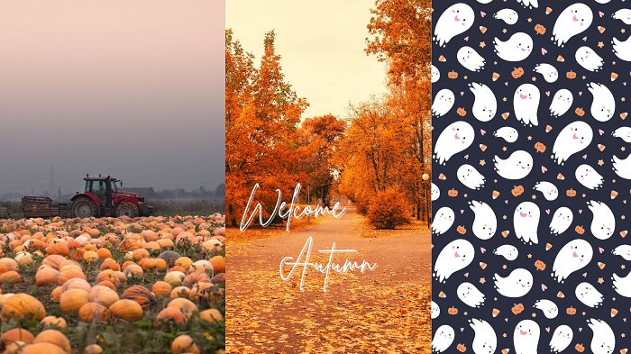 4 Fun Ideas for DIY Fall  Halloween Phone Wallpapers  PicCollage