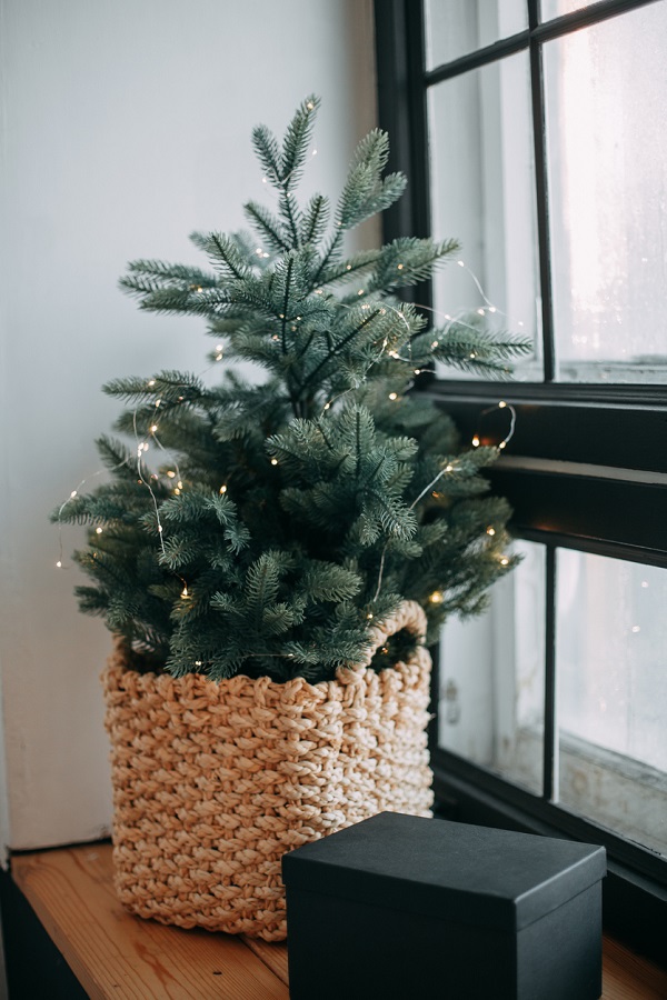 54 Decorated Potted Christmas Tree Ideas For An Eco-friendly Holiday ...